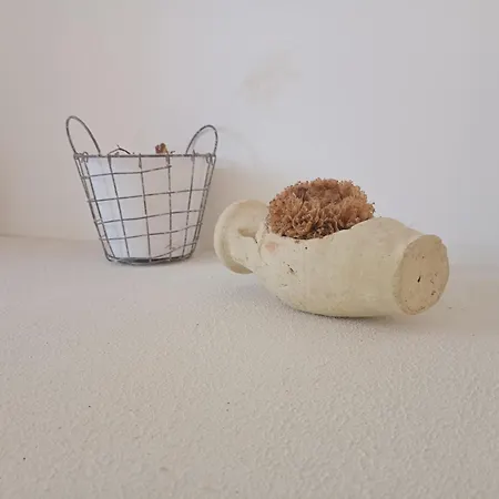 White Shell Self Check-in