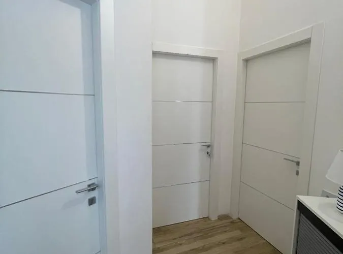 White Shell Self Check-in