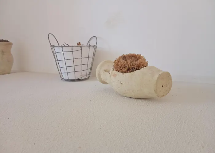 White Shell Self Check-in